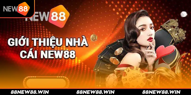Tổng quan về New88