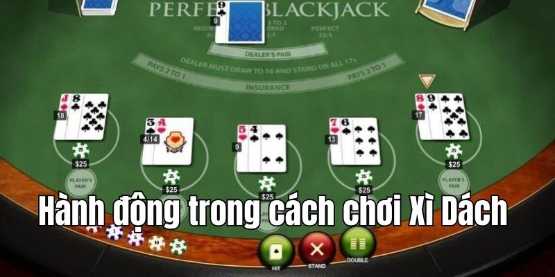 Hành động cần thực hiện khi chơi Xì Dách