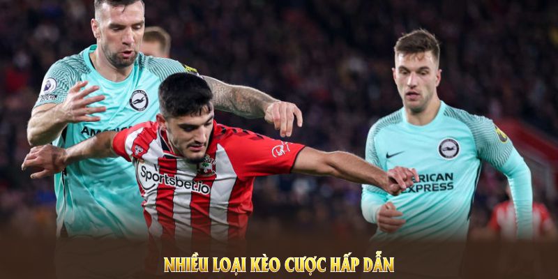 Nhiều loại kèo cược hấp dẫn trong sảnh thể thao WW88
