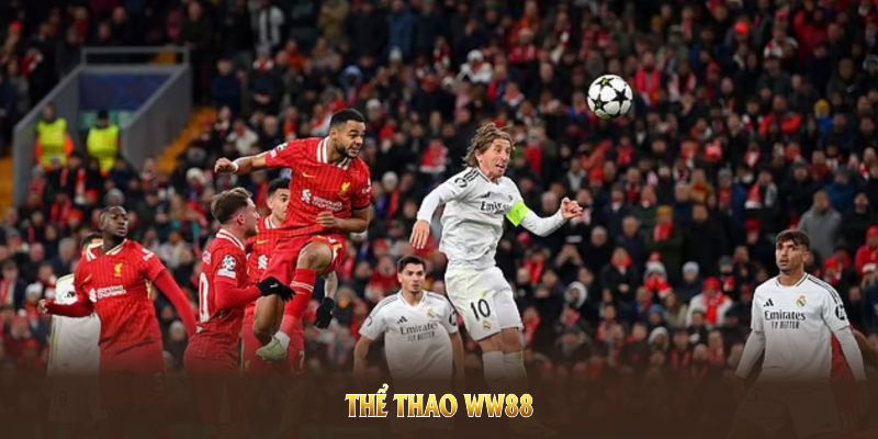 Thể Thao WW88